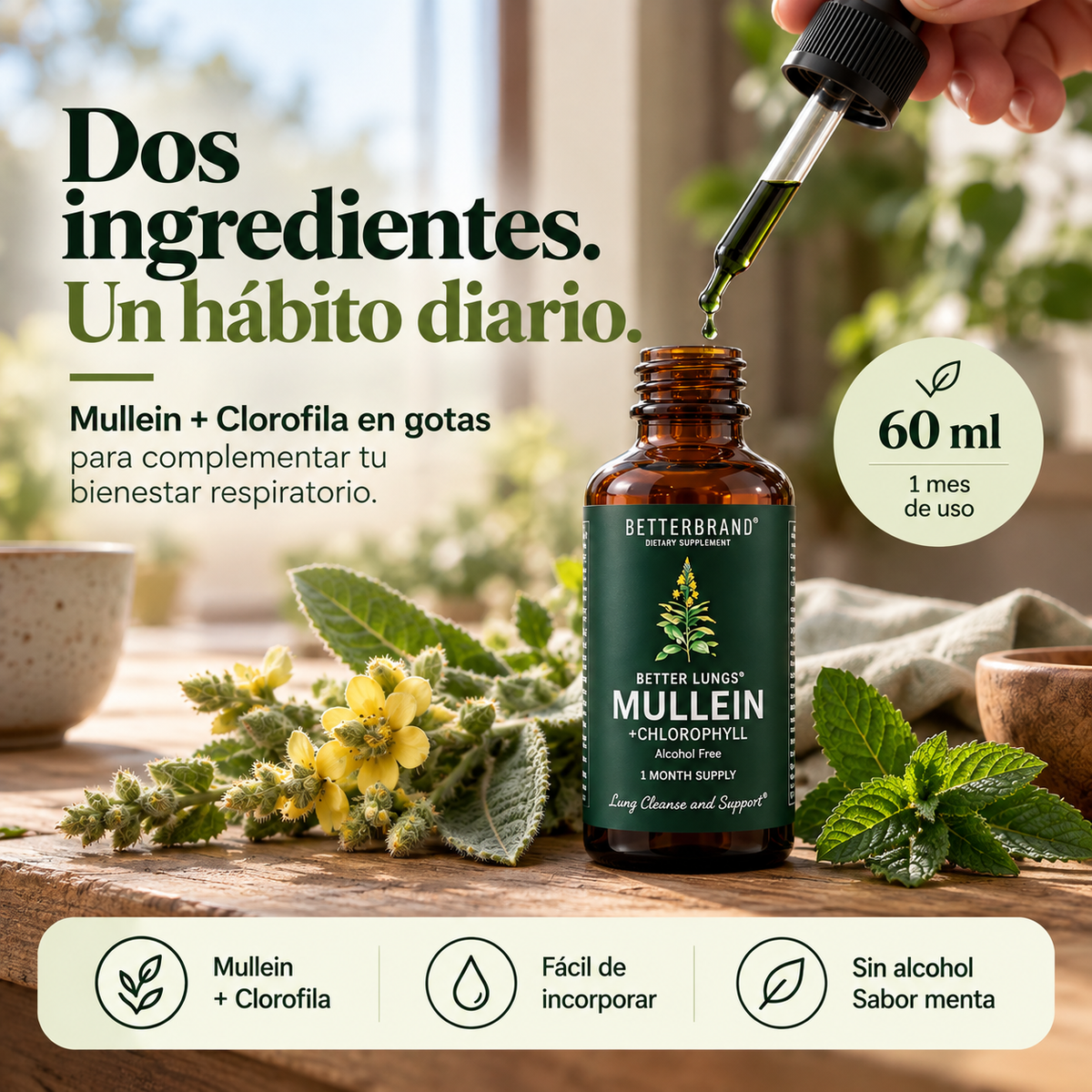 BetterLungs® Mullein + Clorofila | Gotas de Bienestar Respiratorio