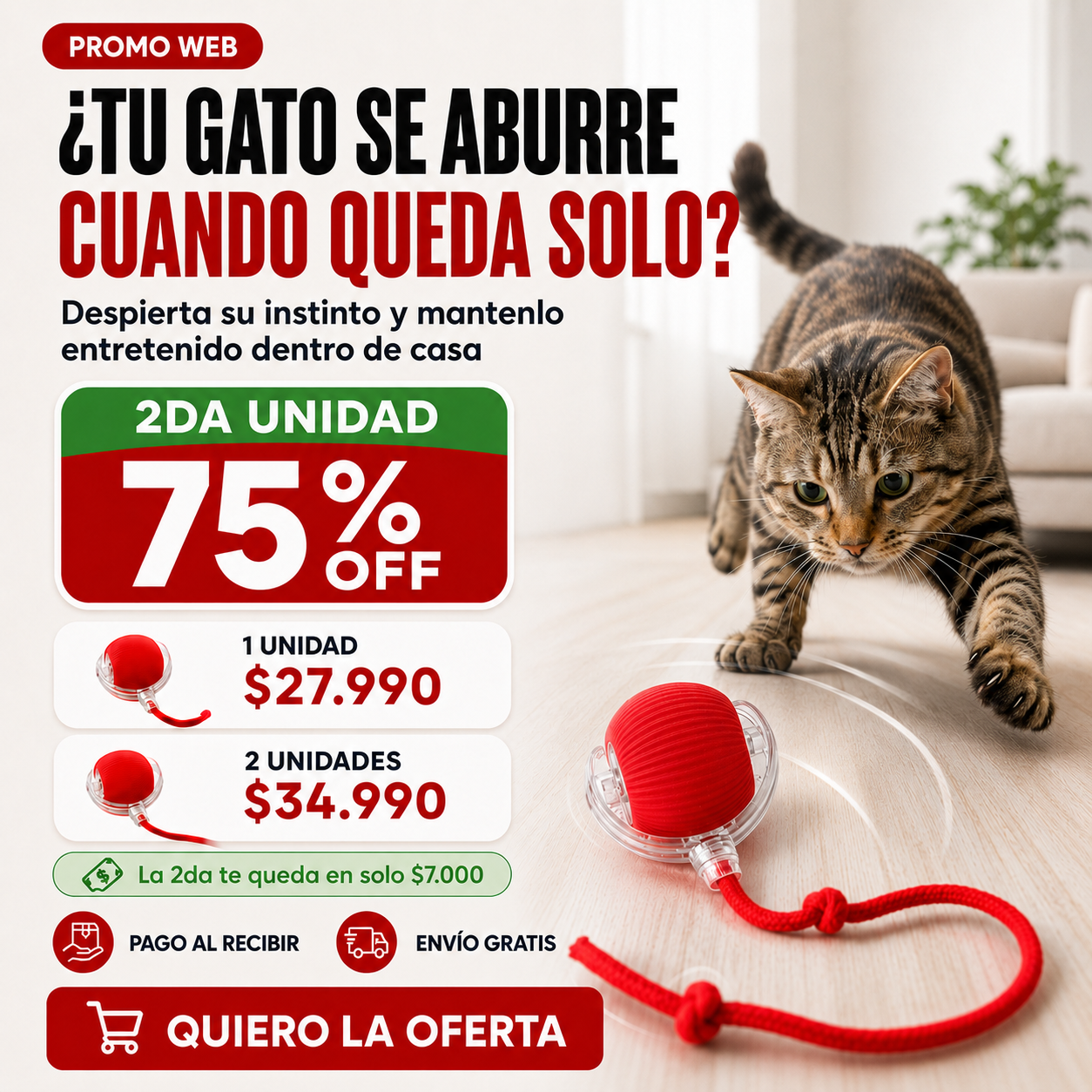 Zoomi Ball™ | Pelota Interactiva para Gatos