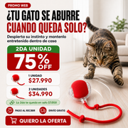Zoomi Ball™ | Pelota Interactiva para Gatos